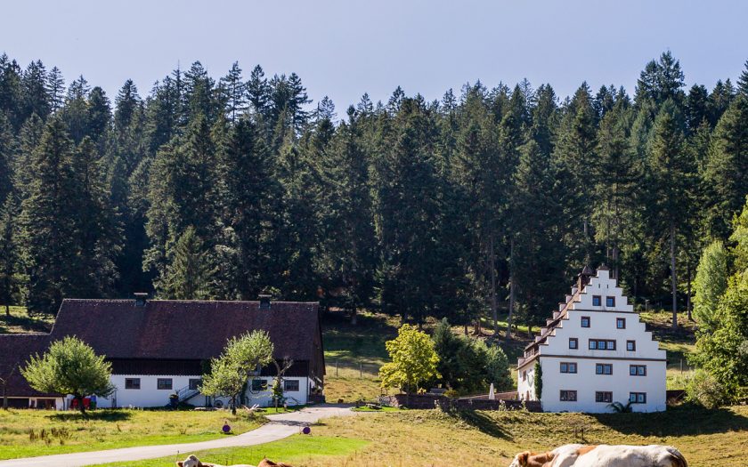 Landschaft mit Bauernhof