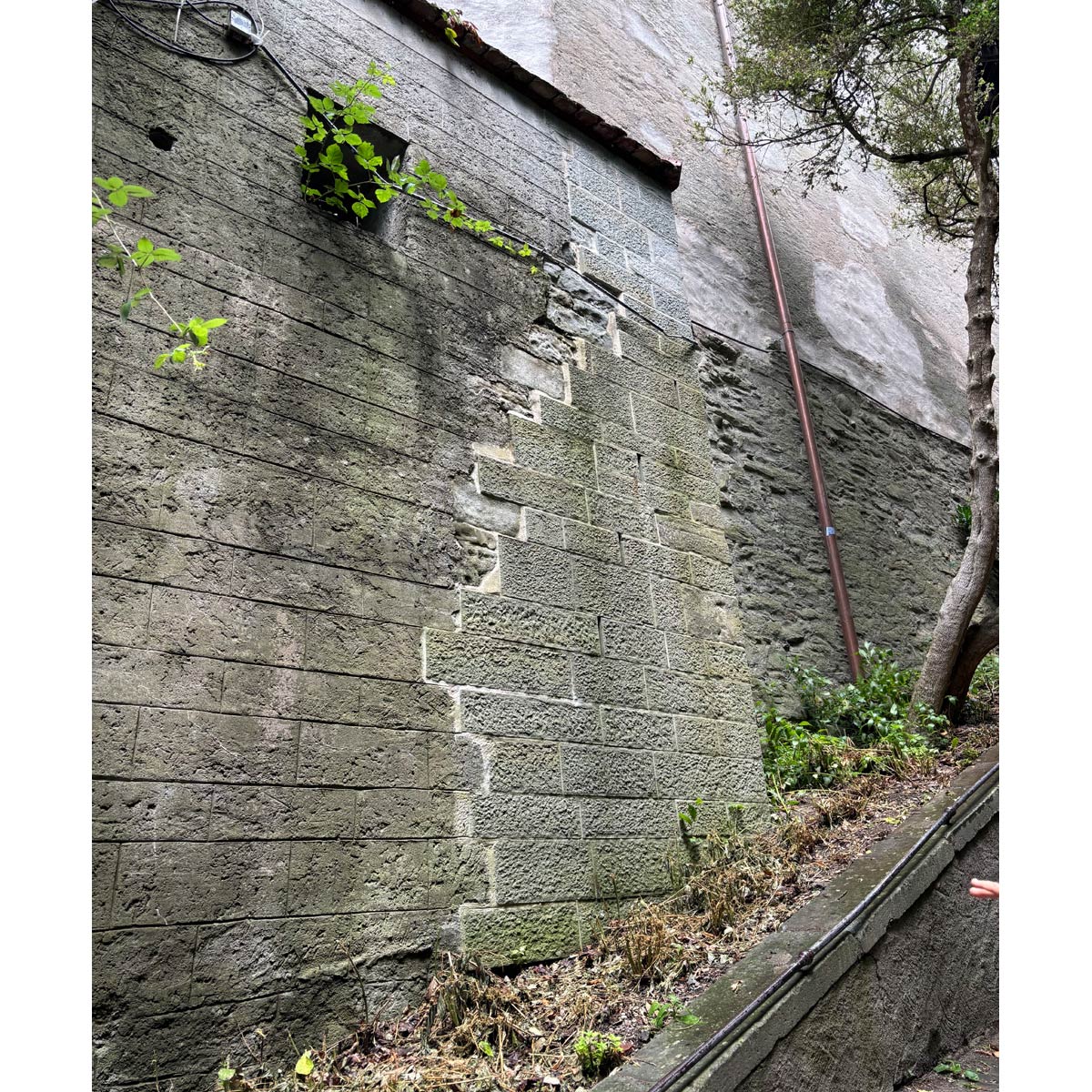 hohe Mauer