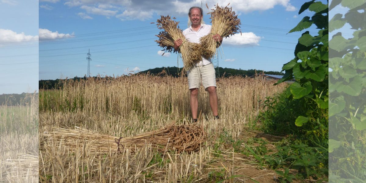 Mann mit Getreidebündeln auf einem Feld
