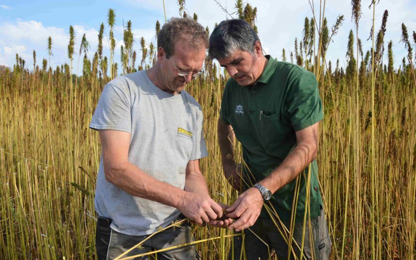 zwei Männer auf einem Getreidefeld