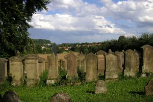 Jüdischer Friedhof Freudental, Synagoge und Genisa-Ausstellung