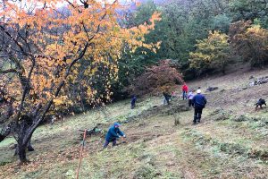 Menschen auf einer herbstlichen Wiese mit Rechen