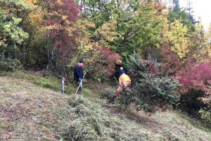 Menschen am herbstlichen Waldrand mit Rechen