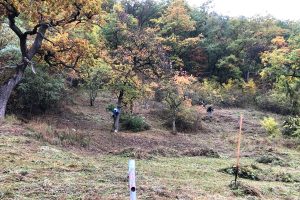 Menschen am herbstlichen Waldrand mit Rechen