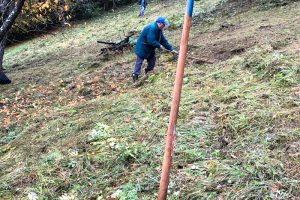 Menschen auf einer herbstlichen Wiese mit Rechen