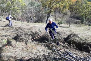 Menschen mit Rechen auf einer herbstlichen Wiese