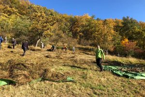 Menschen mit Rechen auf einer herbstlichen Wiese