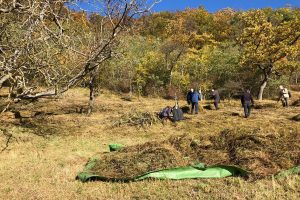 Menschen mit Rechen auf einer herbstlichen Wiese