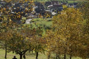 Menschen mit einer großen Plane voller Gras auf einer herbstlichen Wiese