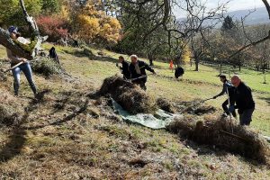Menschen mit Rechen auf einer herbstlichen Wiese
