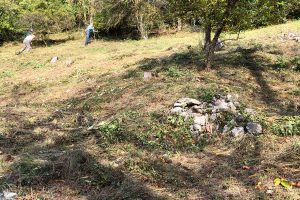 Felsiger Grasboden an steilem Hang
