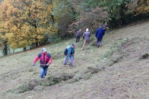 Menschen mit Rechen auf einer herbstlichen Wiese