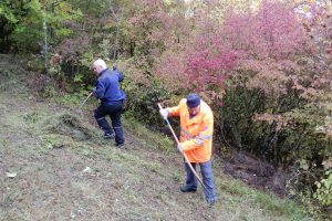 Menschen mit Rechen auf einer herbstlichen Wiese