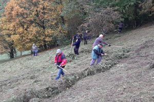 Menschen mit Rechen auf einer herbstlichen Wiese