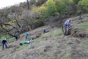 Menschen an einem Hang rechen Gras zusammen