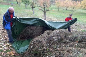 zwei Männer laden eine große Menge Gras ab.