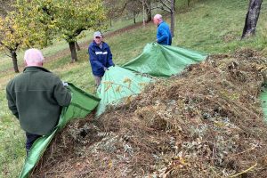 drei Männer ziehen eine Plane mit Laub und Gras zu Tal