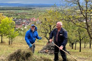 zwei Männer mit Heugabel und Rechen