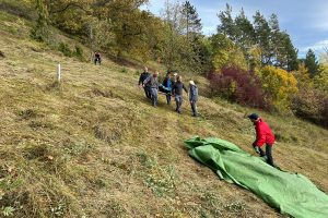 Männer und Frauen bei der Landschaftspflege an einem steilen Hang