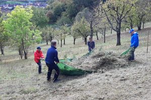 vier Personen ziehen eine mit Gras gefüllte Plane zu Tal