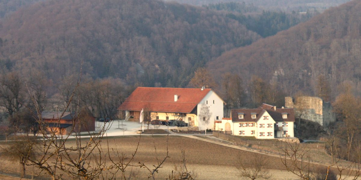 Bauernhof und Burgruine