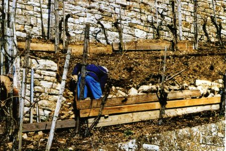 eine Person repariert eine Mauer in einem Weinberg