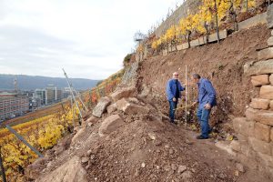 Männer reparieren eine Weinbergmauer