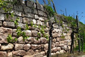Weinbergmauer