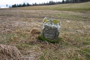 Grenzstein auf einer Wiese