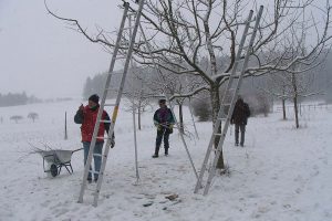 Personen im Schnee unter Obstbäumen
