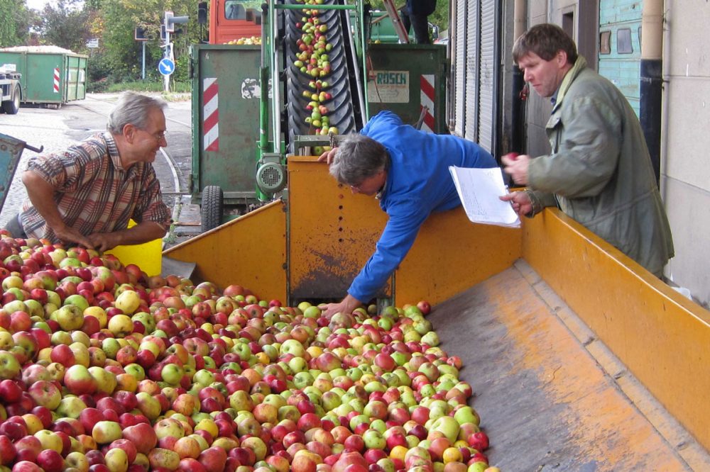 Männer vor einem großen Behälter mit Äpfeln