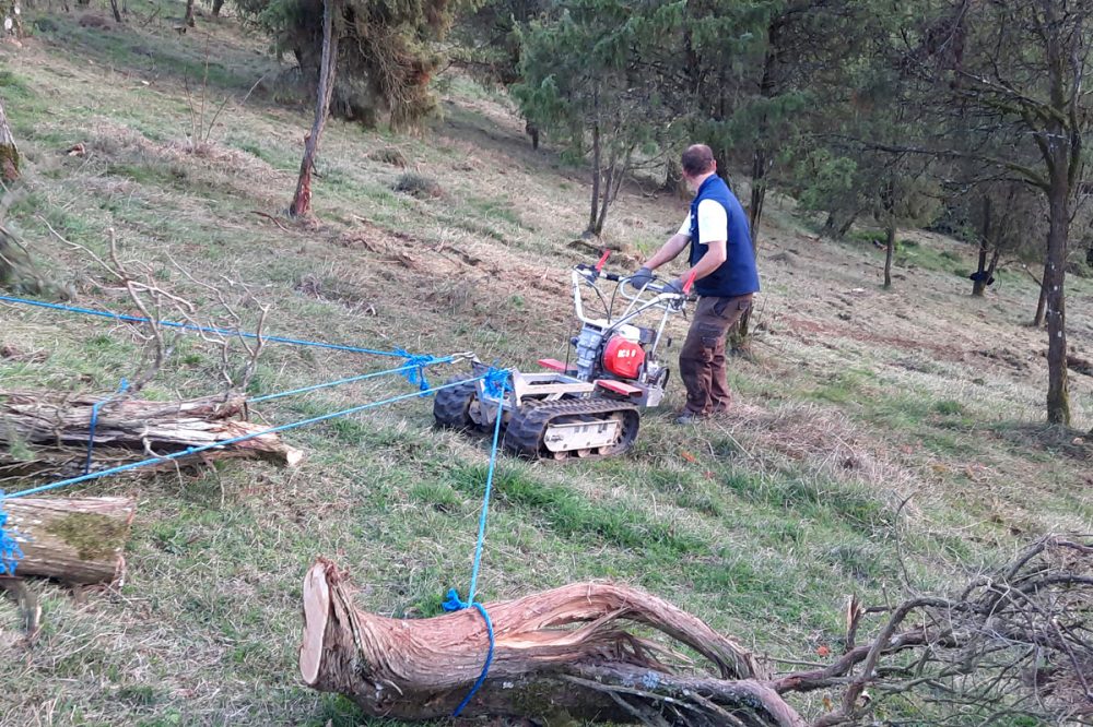 Mann beseitigt Bäume mit einer Maschine an einem sehr steilen Hang