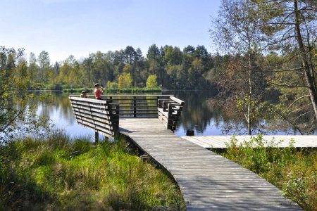 Fünfeckweiher im Pfrunger-Burgweiler Ried