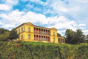 Geschichte, Architektur und Kunst entlang der Weinstraße