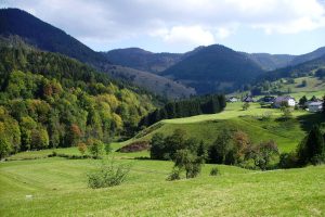 Kulturlandschaft im Biosphärengebiet Schwarzwald