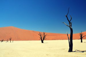 Namibia – Faszination Südwest-Afrika
