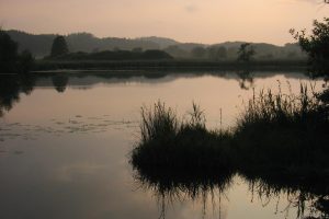 Naturschutz und Forschung am westlichen Bodensee