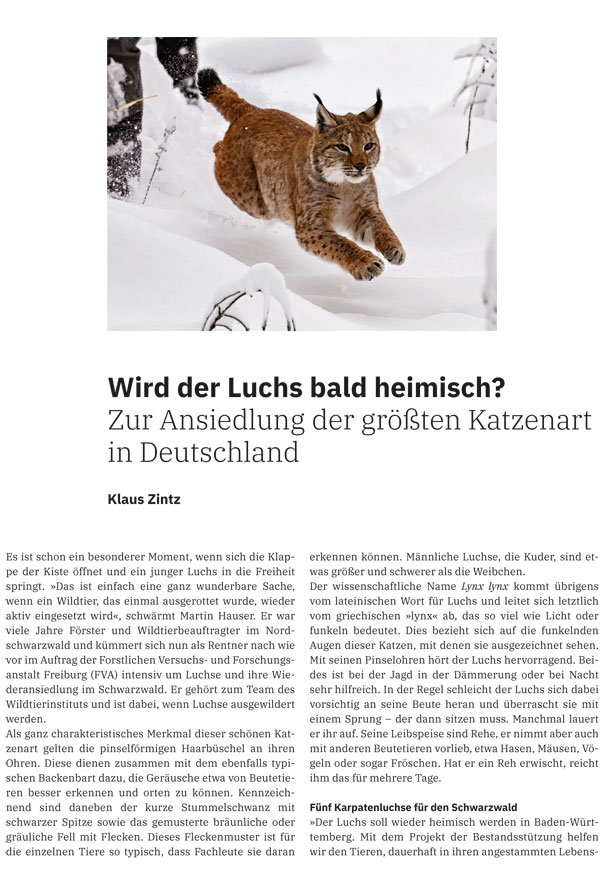 erste Seite eines Zeitschriftenbeitrags