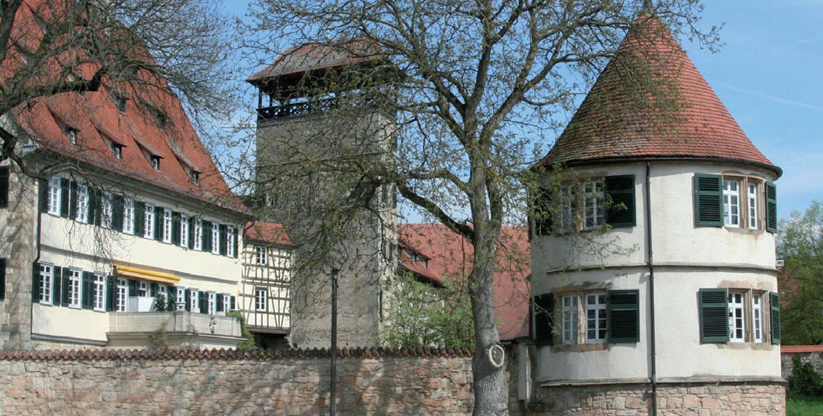 Türme und Gebäude eines Schlosses