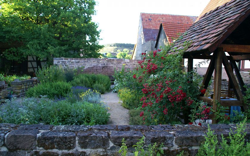 Garten mit vielen Blumen