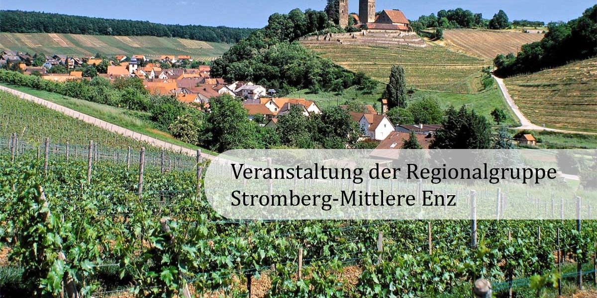 Burg auf einem Hügel mit Weinbergen