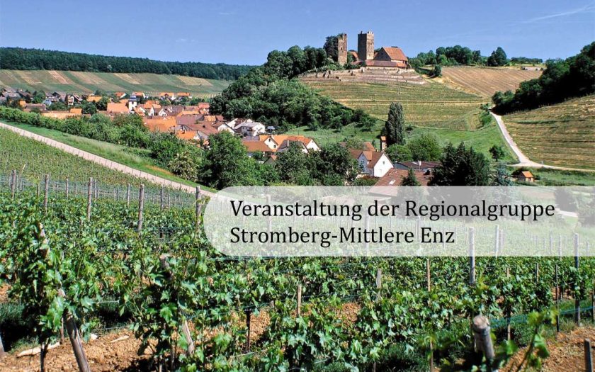 Burg auf einem Hügel mit Weinbergen