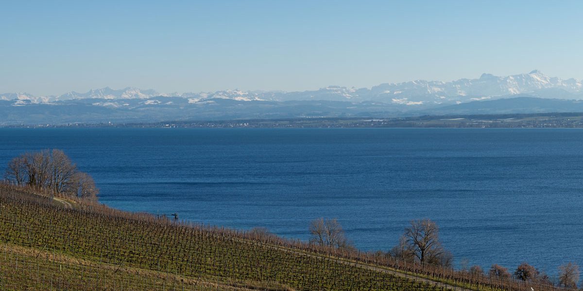 Blick über einen großen See auf schneebedeckte Berge