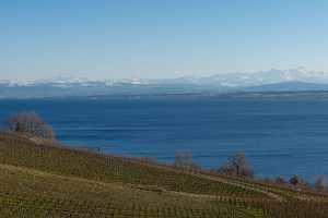 Wie geht´s eigentlich dem Bodensee?