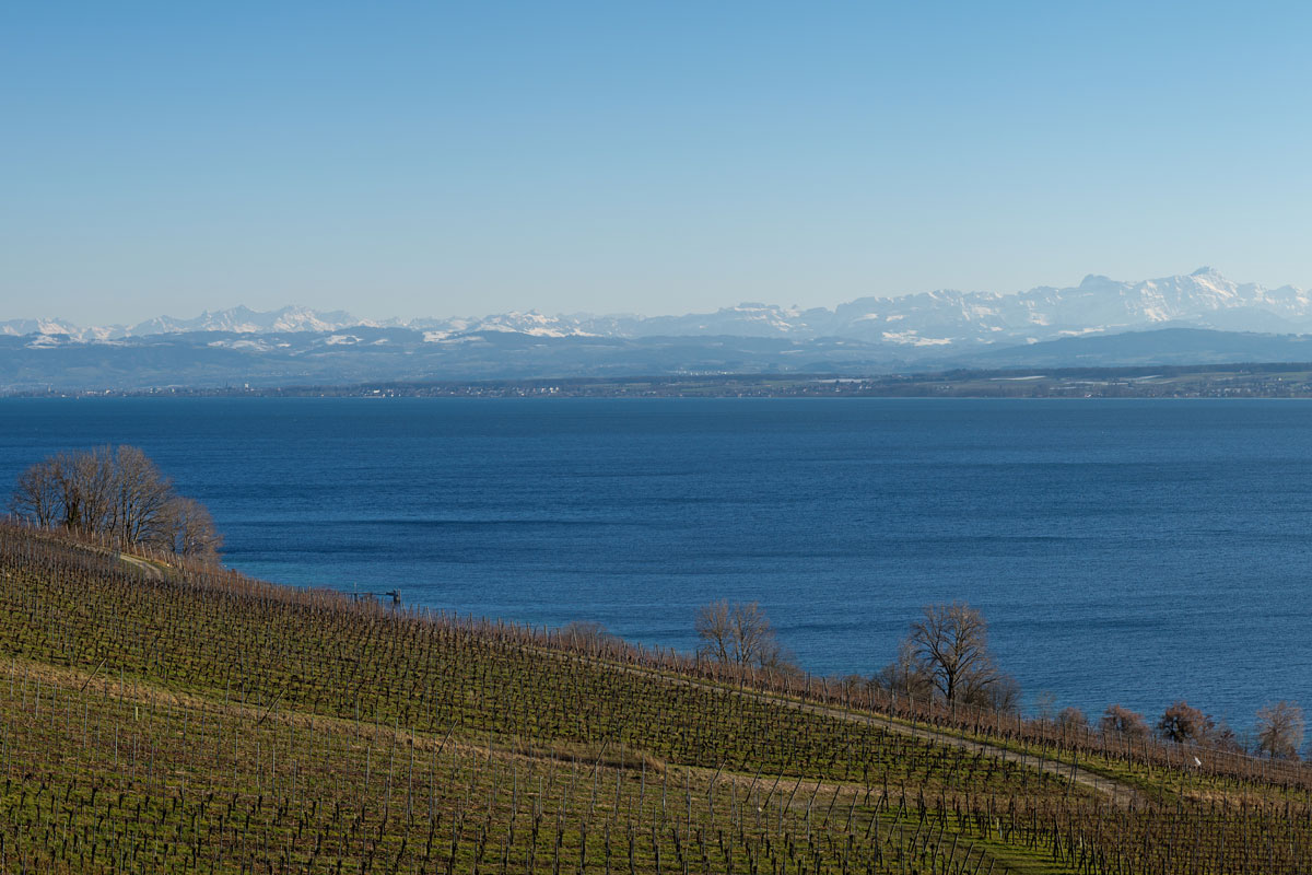 Wie geht´s eigentlich dem Bodensee?