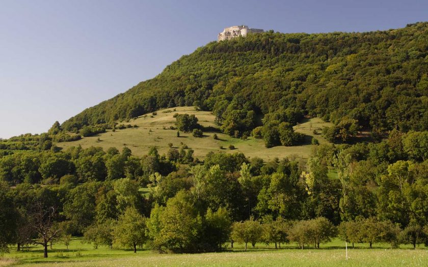 Burgruine auf einem Berg