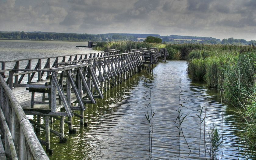 Steg über einen See