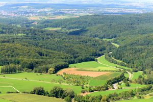 Mit dem Förster durch den Wald: Mitten durch das Distrikt Hülenberg