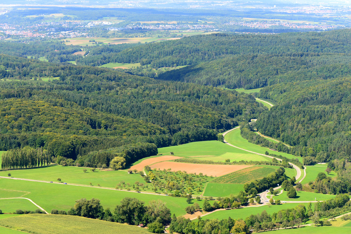 Mit dem Förster durch den Wald: Mitten durch das Distrikt Hülenberg