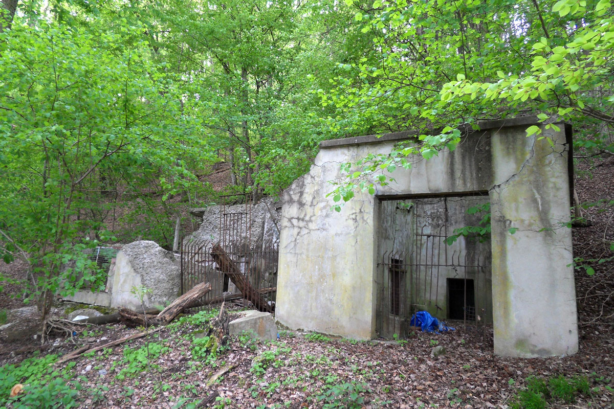 Der Tiergarten Tübingen: Kolonialzeitliche Sehnsüchte und private Tierliebe